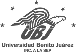 Universidad Benito Juárez G.